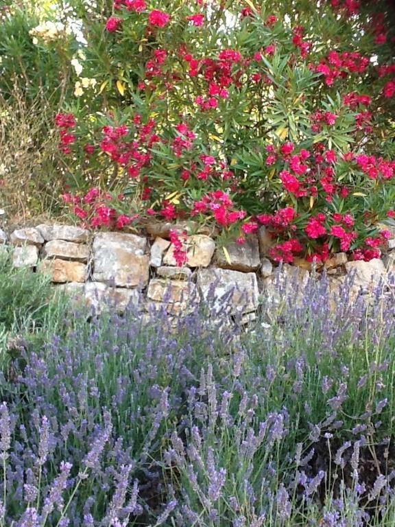 l'Oustaou B&B Piscine&Spa Besse-sur-Issole Esterno foto