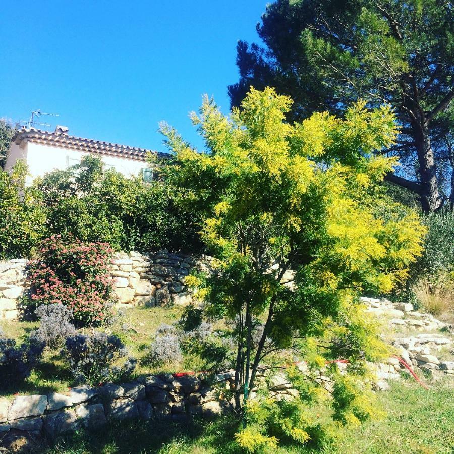 l'Oustaou B&B Piscine&Spa Besse-sur-Issole Esterno foto